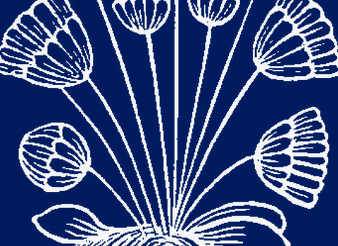 Science and the Humanities